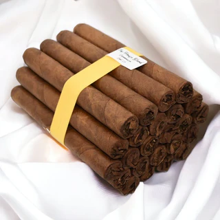 Daily cigar hub