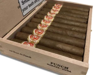 Punch Short de Punch – box of 10 cigars
