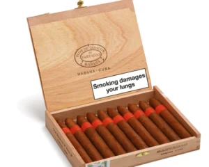 Partagas Series P No.2 Cigar – Box of 10